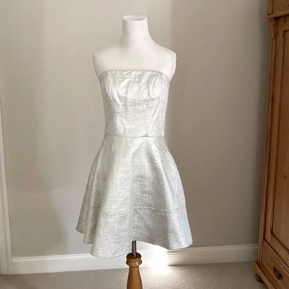 NWT EXPRESS Metallic Silver A-Line Strapless Party Dress Size 6 - Picture 1 of 12